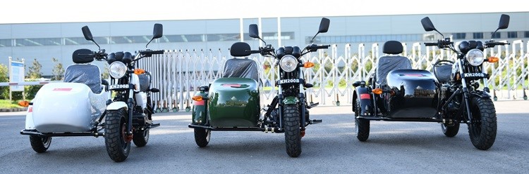 Electric Sidecar-XINLIG